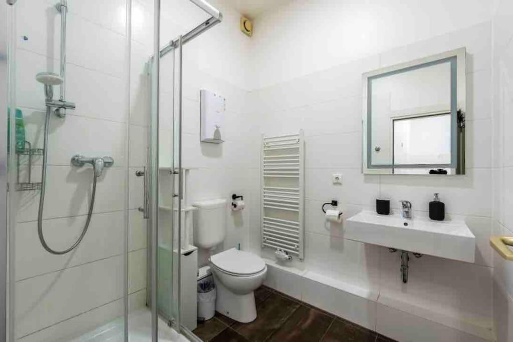 Apartament Big Fancy Center Berlin