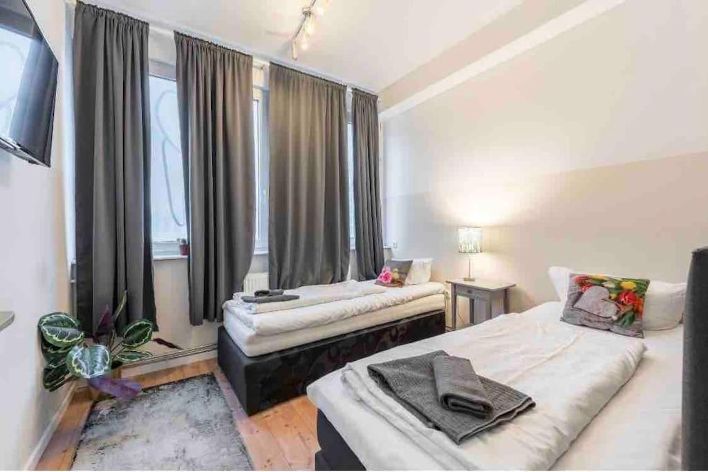 Big Fancy Center Apartament Berlin